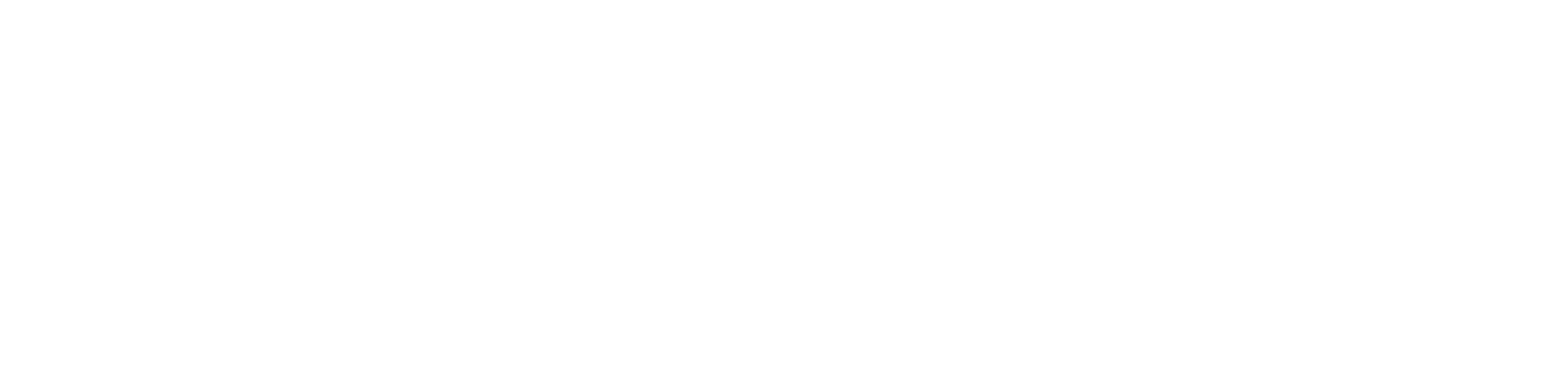 Euler